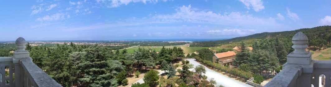 B&B Chateau Valmy - Teritoria Argelès-sur-Mer Exterior foto